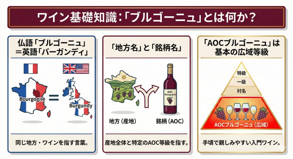 【最高級ワイン産地】ブルゴーニュとは？初心者向けに解説！