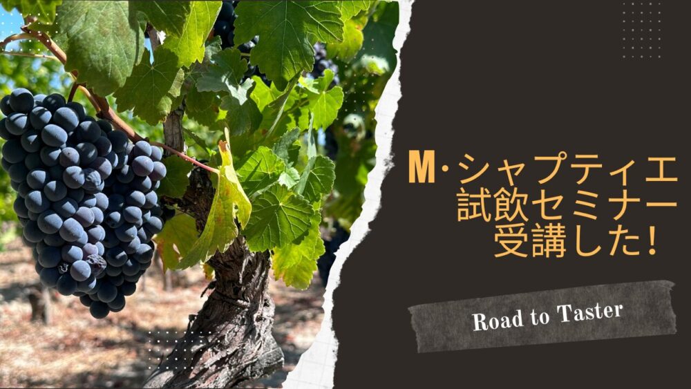 分科会セミナー　M・シャプティエの魅力に迫るを受講した