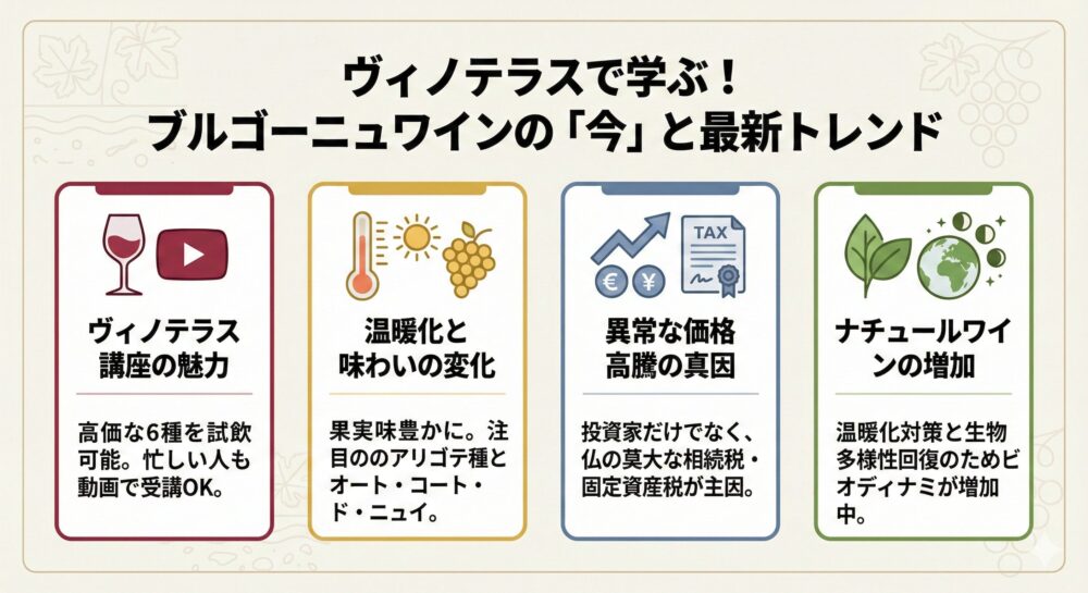 ヴィノテラス　ブラッシュアップ講座ブルゴーニュ編を受講した