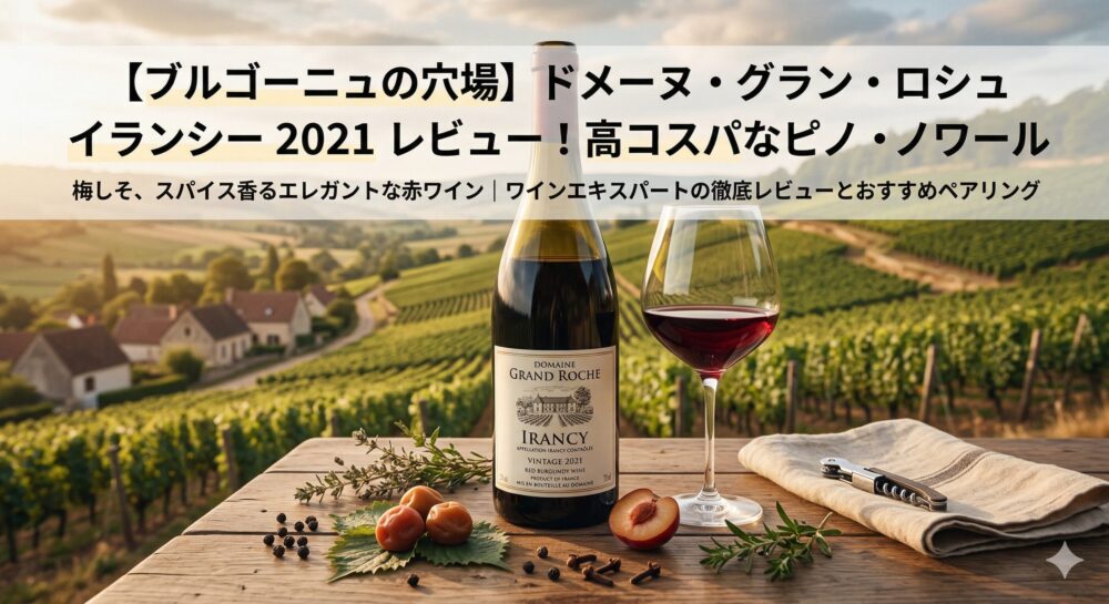 ブルゴーニュの穴場ワイン「イランシー」のラベルが見えるドメーヌ・グラン・ロシュ 2021のボトルと、ワインが注がれたグラス。梅しそやスパイスが周囲に配され、背景には美しいぶどう畑が広がる。